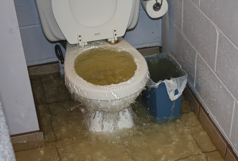 Toilet Overflow Cleanup Macomb MI