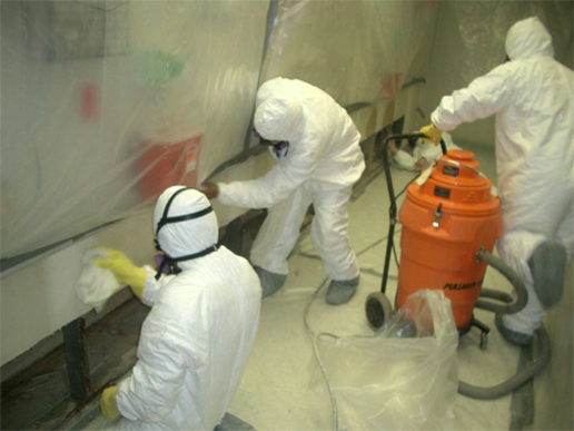 Mold Remediation In Michigan